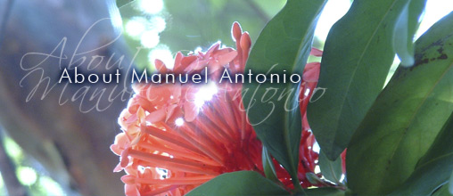 Costa Rica tropical scenery