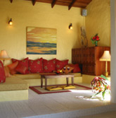 Stylish, tropical furnishings